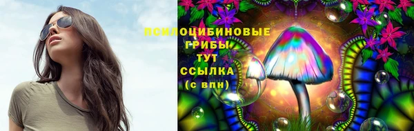 молекула духа Переславль-Залесский