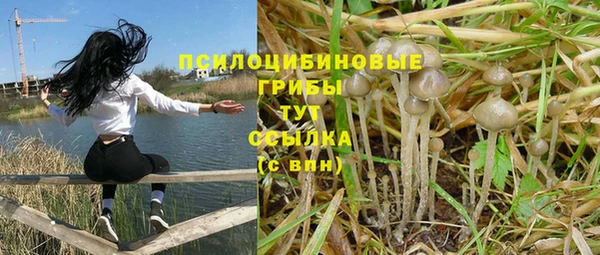 гидропоника Пересвет