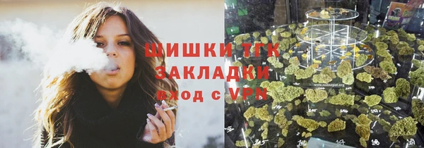 молекула духа Переславль-Залесский