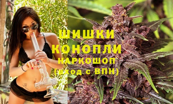 гидропоника Пересвет