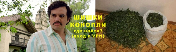 молекула духа Переславль-Залесский