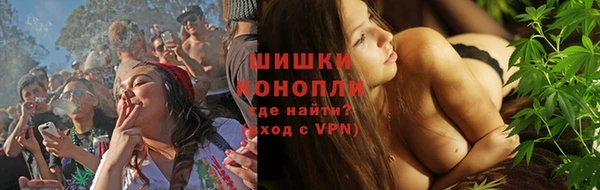 молекула духа Переславль-Залесский