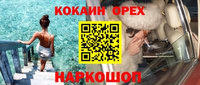 сатива Гай