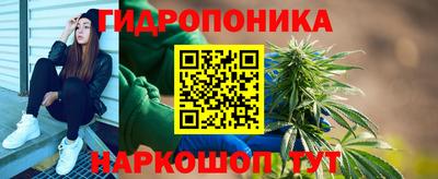 сатива Гай