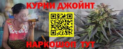 сатива Гай