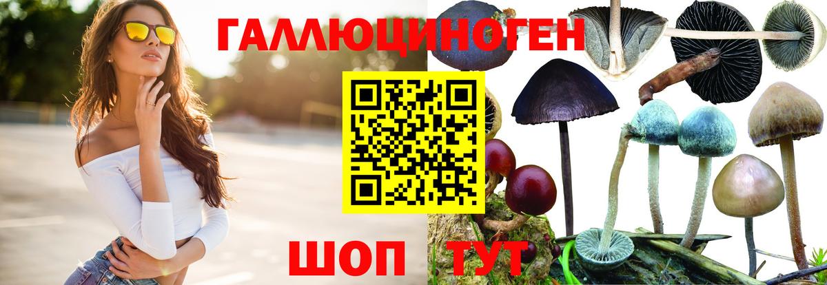 как найти   Вход с VPN  Ижевск  Галлюциногенные грибы ЛСД 