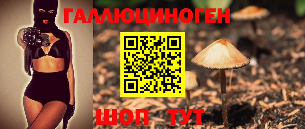 Псилоцибиновые грибы MAGIC MUSHROOMS  Ижевск 